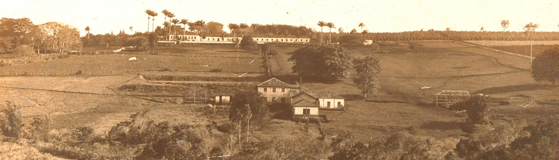 Foto panorâmica antiga, em tom sépia, retratando uma propriedade rural, num terreno gramado em declive, com várias edificações antigas. Em primeiro plano, uma mata ciliar. No centro da imagem, há um conjunto de edificações tipo galpão, na maioria. À direita, parte de outra edificação. Ao fundo, uma edificação alongada, com várias janelas. À esquerda dela, outra edificação tipo casarão. Sabemos que se trata de uma foto de 1910, de Guilherme Gaensly, retratando a Fazenda do Pinhal.